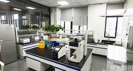 引物、基因、基因组、基因库定制合成服务