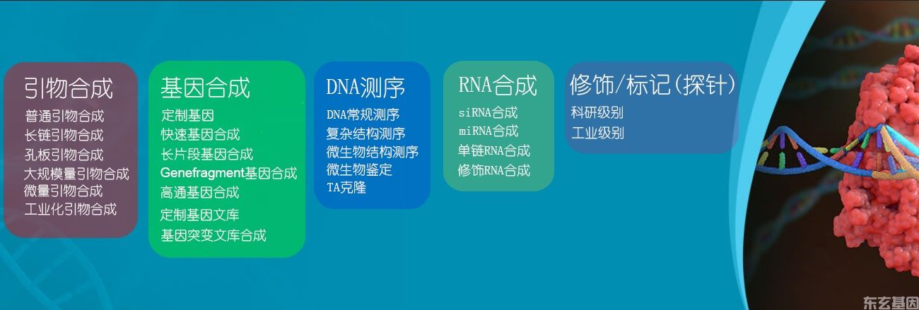 引物、基因、基因组、基因库定制合成服务