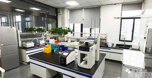基因合成-东玄基因科技有限公司