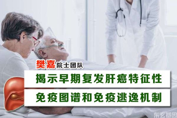 樊嘉院士团队揭示早期复发肝癌特征性免疫图谱和免疫逃逸机制(图1)